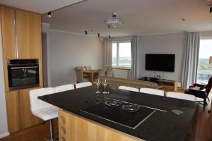 Lelle Luxury Penthouse Apartment