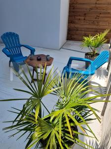 Appartements Appartement spacieux avec terrasse, Saint-Malo, Dinard, Dinan et Dol : Appartement 1 Chambre