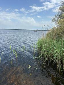 Villas Villa carreyre : photos des chambres