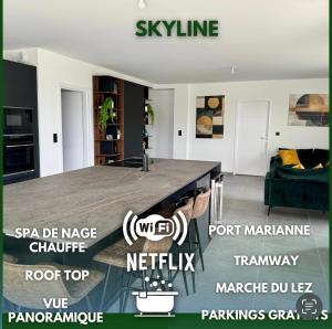 Skyline Rooftop Swim Spa