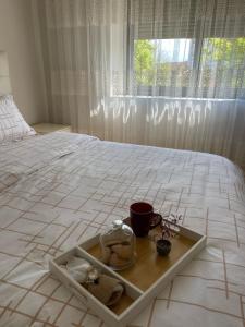 The Center Spot Shkoder