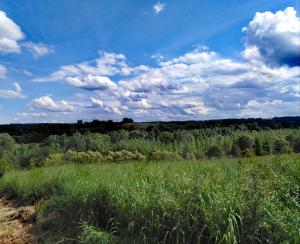 Maison située aux confins de la Vallée du Loir