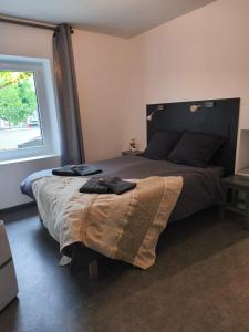 Escapade au fil du Canal