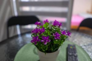 Banja Vrujci Apartmani Nikolic