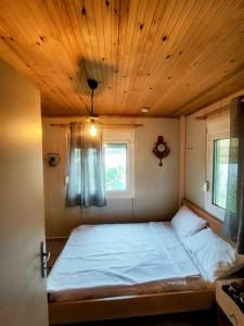 Serenity Oasis Country House