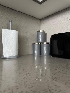 Deluxe 3 BedStratford Apartment OlympicParkO2ExCel