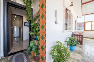 Dar RADI Appart Terrace