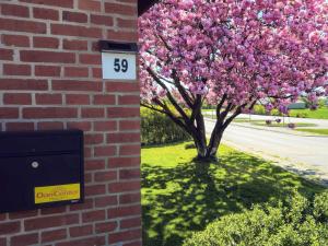 8 person holiday home in Øster Assels-By Traum