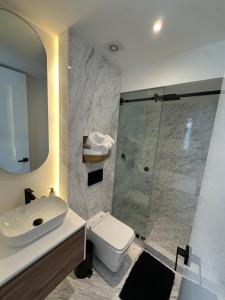 Departamento Roma Norte Fuente Cibeles