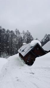 Oku Cabins Madarao