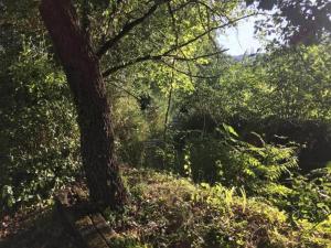 Casa Vacanze con 4 Camere da Letto