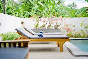 Lush Tropical Villa Central Amed