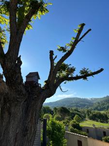 Maisons de vacances Mazet du soleil : photos des chambres