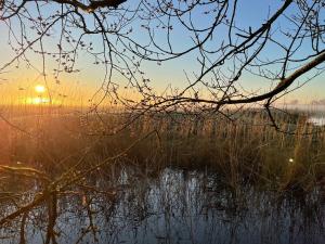 Ferienwohnung Alte Warft