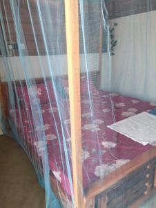 Arugam Bay Beach Morea