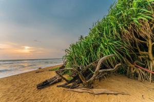 Sun & Sands Villa Wadduwa