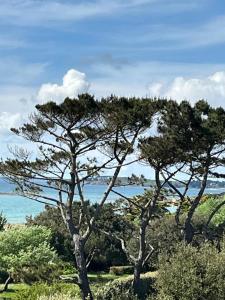 STUDIO Vue Mer plage immédiate