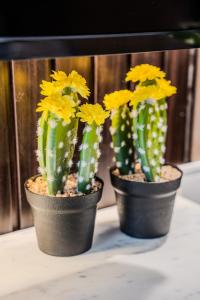 Sunset Studio By BlueCloud holidays