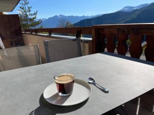 Le Lodge de Molanes - Pra Loup 1500