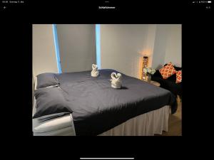 Andaman 1 Zimmer Wohnung