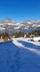 Căbănuța Busuioc Colibita