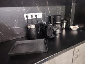 Elegant and spacious penthouse