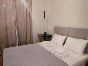 Elegant and spacious penthouse