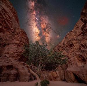 Wadirum sunset camp
