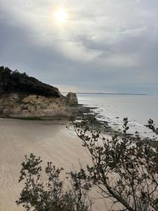 Appartements Maisonnette au pied du marche et 300 m de la plage : photos des chambres