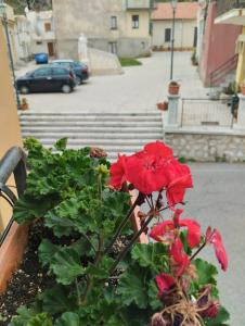6 Kilometri dal Mare e dallAspromonte Motta San Giovanni Visita Canyon e Castello