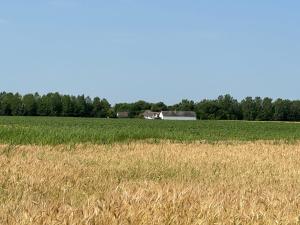 Százholdas Pagony Vendégház Solt