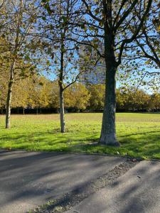 Large one bedroom apartment, with view, Canary Wharf