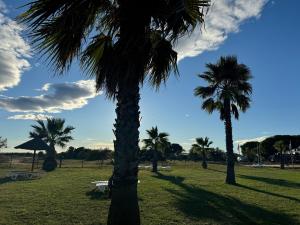 Maisons de vacances Bungalow 341 pour 6 a 8 pers Camping Siblu 4 etoiles le Lac des Reves : photos des chambres