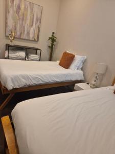 Delightful flat central Brighton