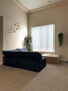 Spacious large 1 bedroom with parking
