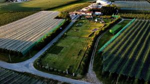 Maisons de vacances L-Escale -Domaine Des Boissons - : photos des chambres