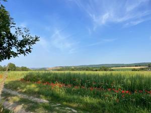 Lovely Normandy Charmante maison de campagne