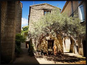 B&B / Chambres d'hotes B&B Vigne Vierge : photos des chambres