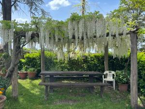 Monolocale La Mimosa