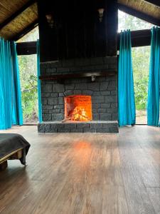Grevillea retreat