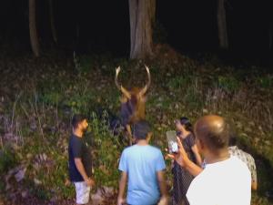 Wild Window - Forest View Homestay