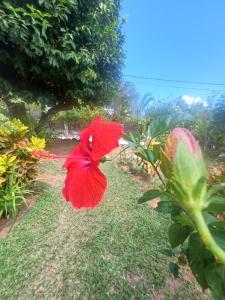 La Banane Rouge Self Catering