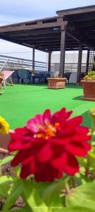 blue sky appartamenti San Foca