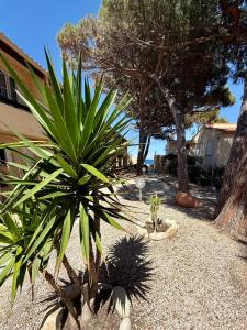 Hotels Hotel L'ondine : photos des chambres