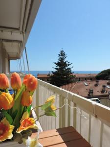 Seaview Apartment - B