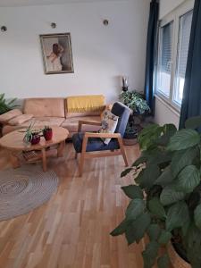 Avocado Apartment