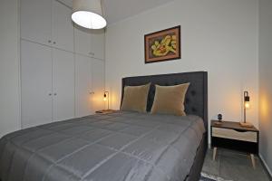 Luxury apartment in sithonia