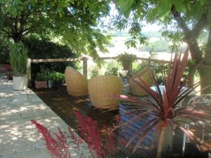 Auberge du Canabal photo 15