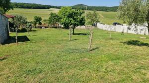 Comfort apartment with VINEYARD view