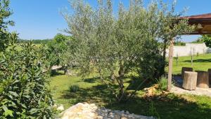 Comfort apartment with VINEYARD view